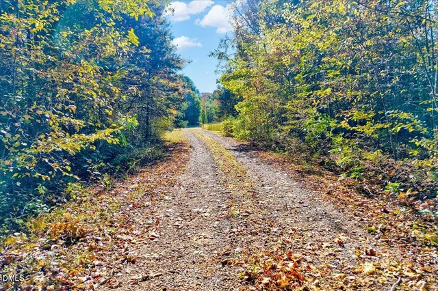 a view of swimming pool from a garden