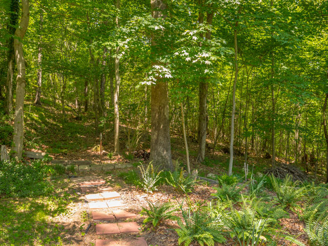 1939 Rock Bluff Road Hixson, TN 37343 - Photo 30 of 37 Woods at back perimeter