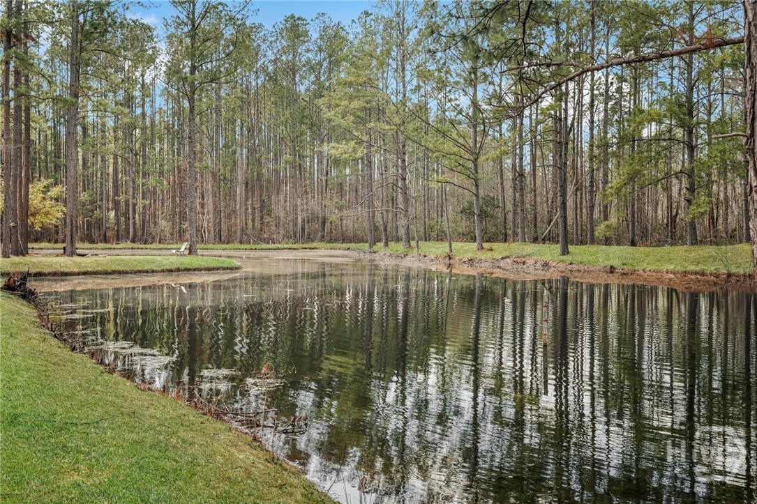 548 Sand Hill Road Brooklet, GA 30415 - Photo 35 of 44 Well designed 1 Acre Pond
