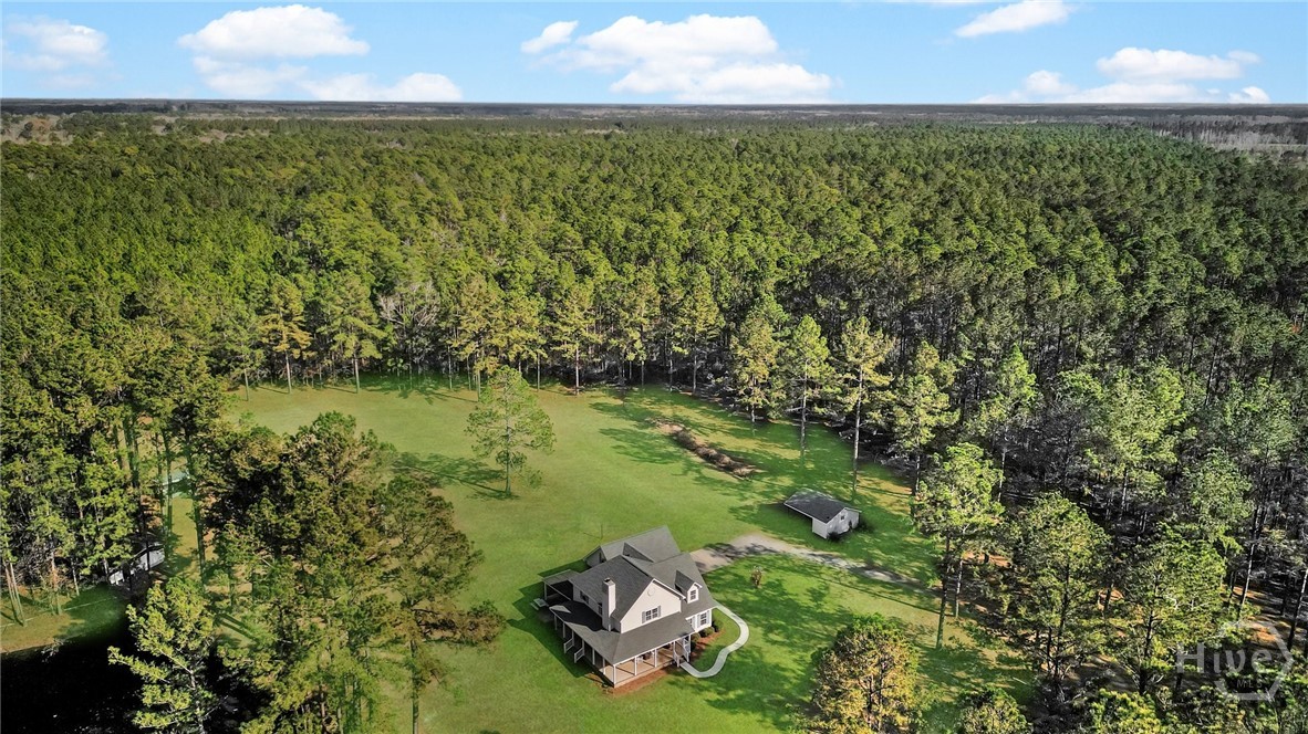 548 Sand Hill Road Brooklet, GA 30415 - Photo 36 of 44 Mature Trees Surround the Home