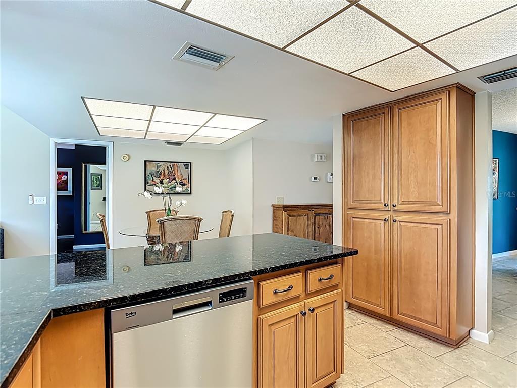 9416 Bellhaven Street Temple Terrace, FL 33637 - Photo 12 of 57