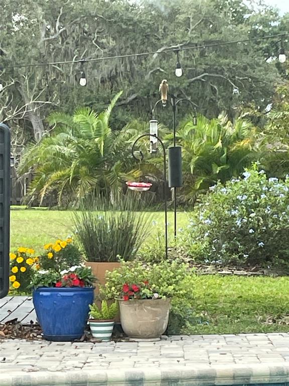 9416 Bellhaven Street Temple Terrace, FL 33637 - Photo 28 of 57