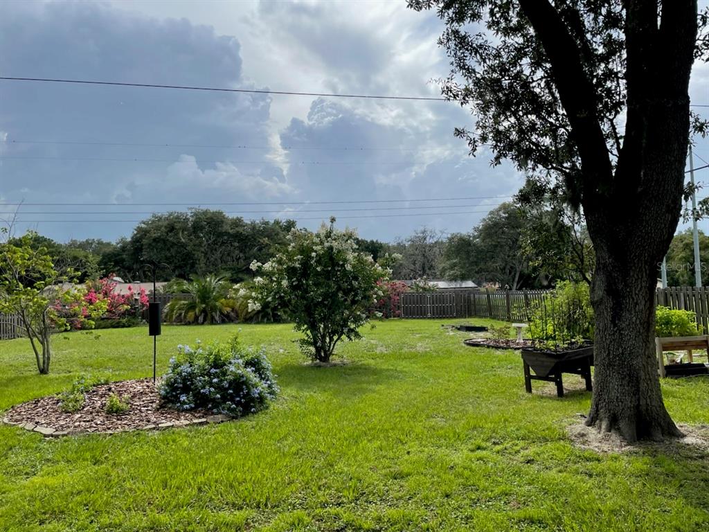 9416 Bellhaven Street Temple Terrace, FL 33637 - Photo 53 of 57