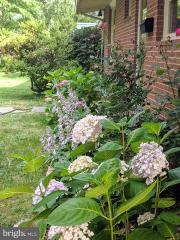 $4,200 | 6519 Byrnes Drive, McLean, VA 22101