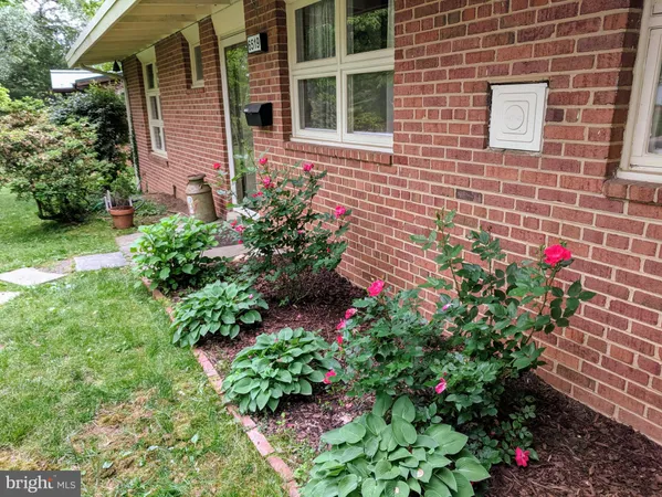a view of a potted plant sitting in front of a house