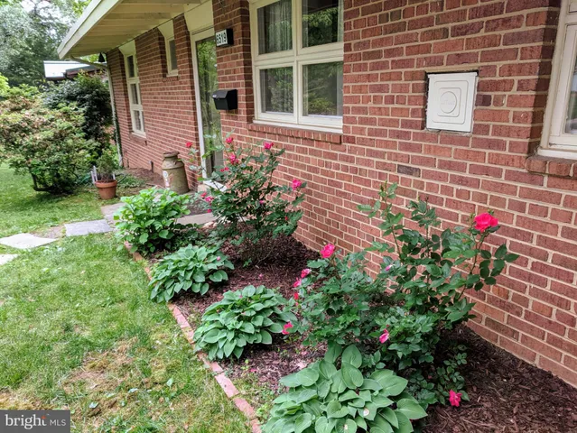 a view of a potted plant sitting in front of a house
