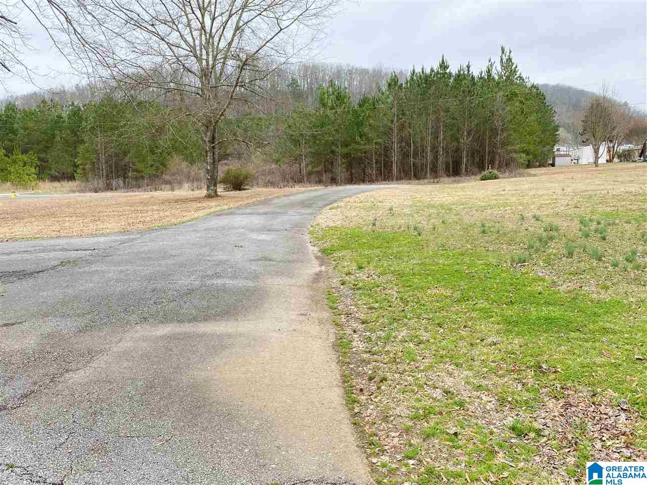 659 Maddox Farm Road Odenville, AL 35120 - Photo 4 of 41