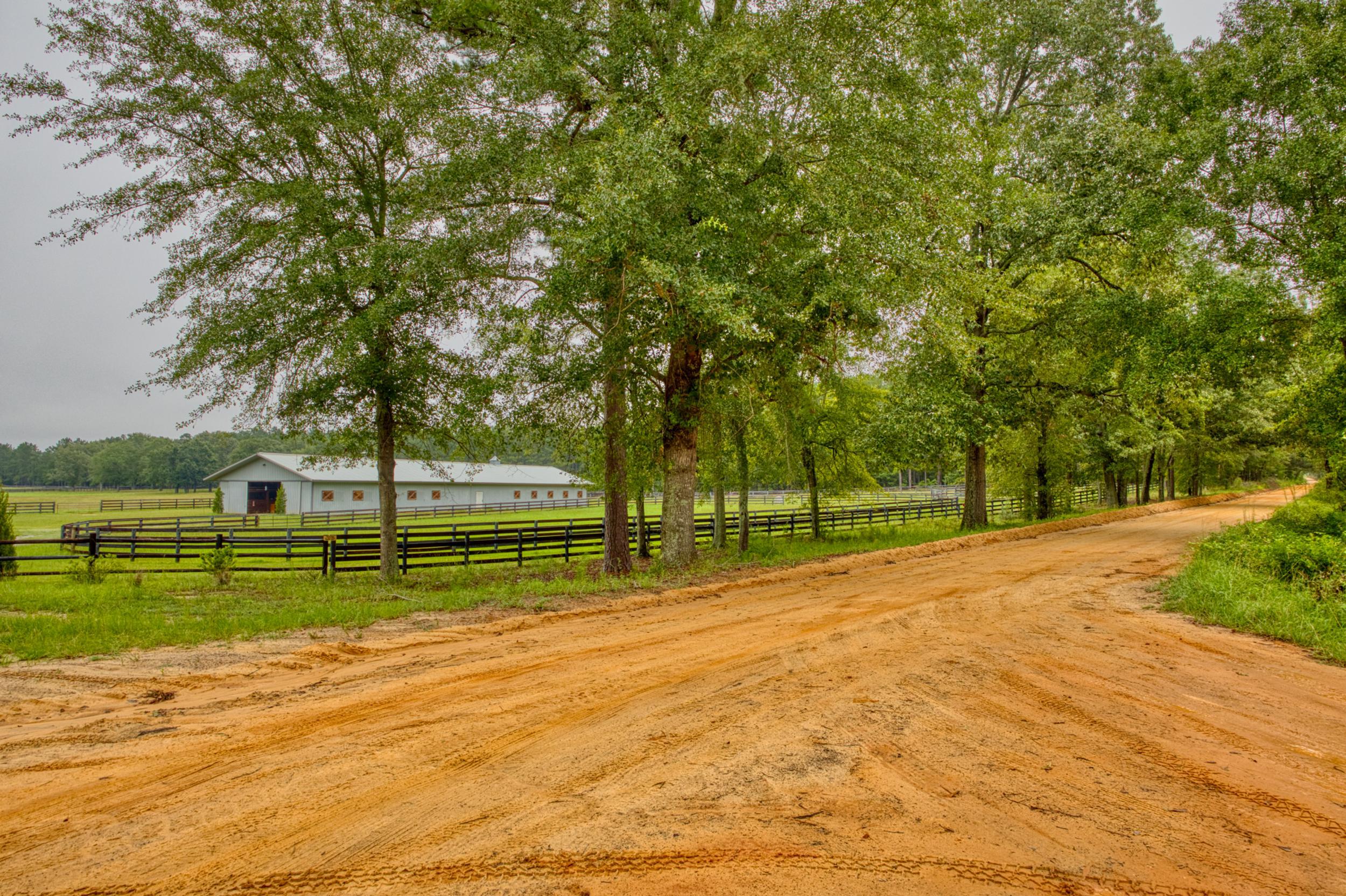 Lot 5 Cooks Pond Road Windsor, SC 29856 - Photo 17 of 23