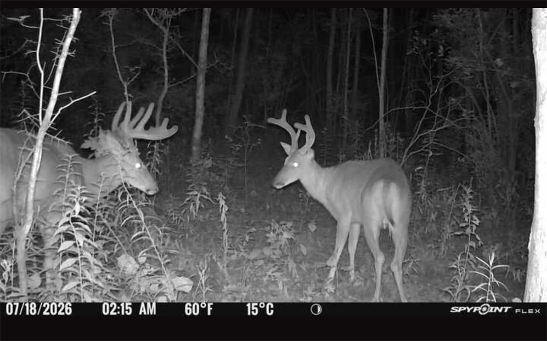 Bunnell Road Waverly, NY 14892 - Photo 10 of 49 Gallery Image 10