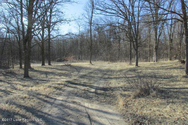 20172 340 Avenue Rochert, MN 56578 - Photo 1 of 1 Gallery Image 1