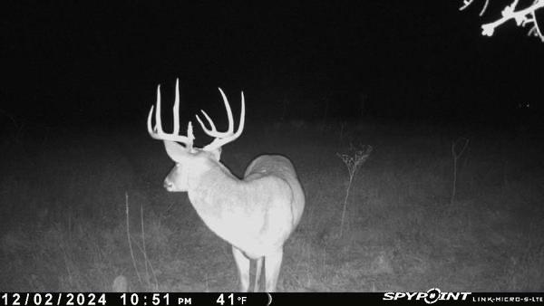 a close view of a sink