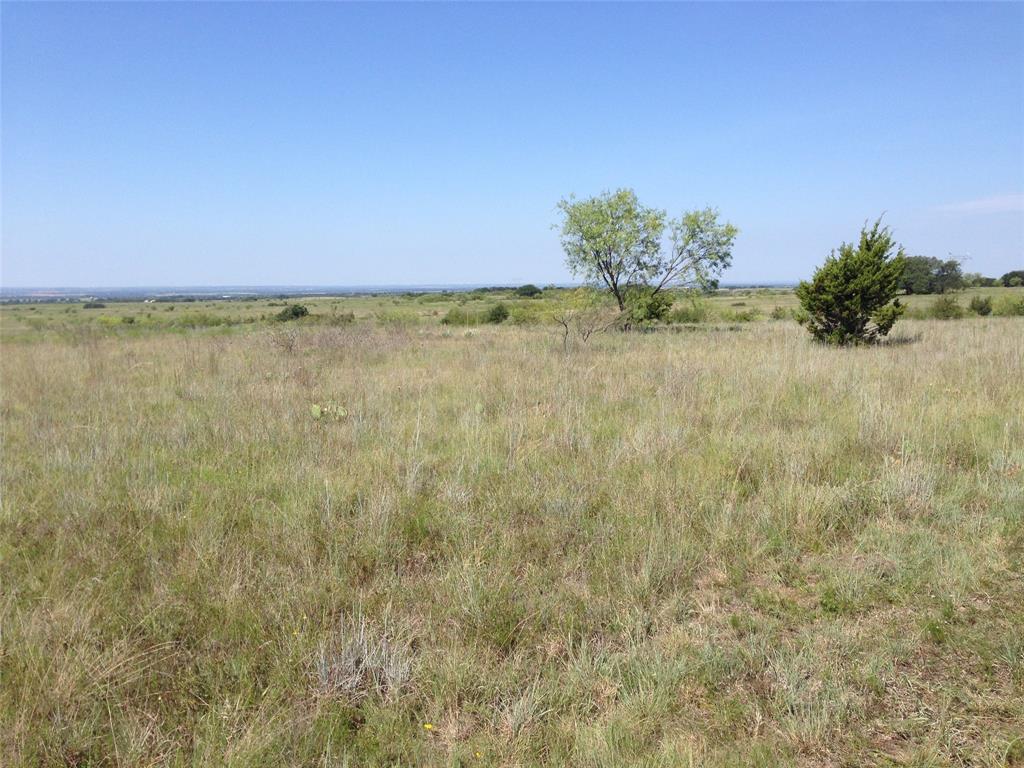 Tbd County Road 343 Dublin, TX 76446 - Photo 12 of 25