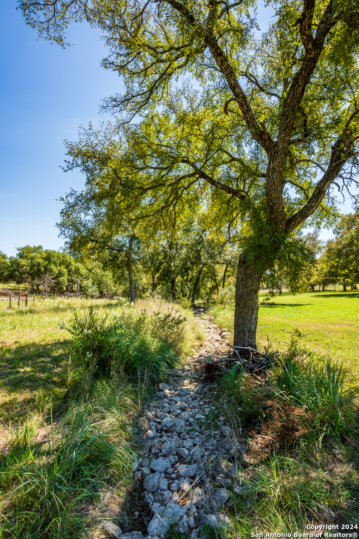 747 Cove Ranch Road Kempner, TX 76539 - Photo 19 of 50