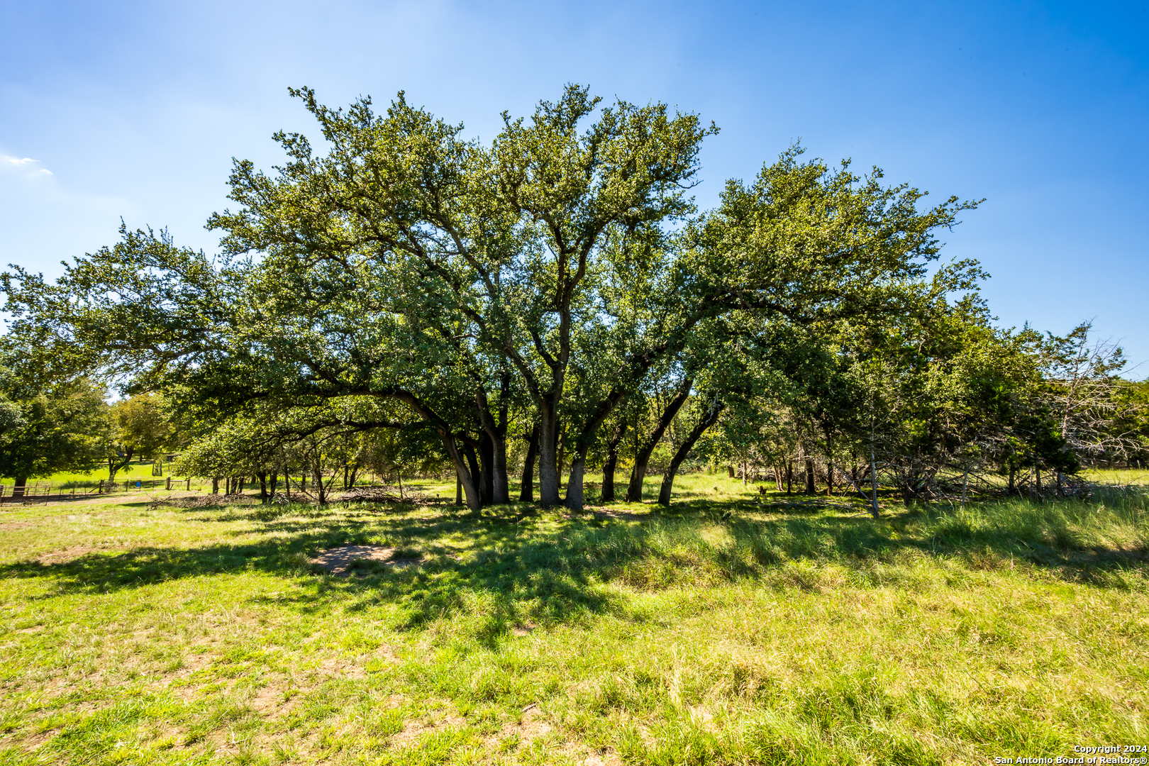 747 Cove Ranch Road Kempner, TX 76539 - Photo 20 of 50