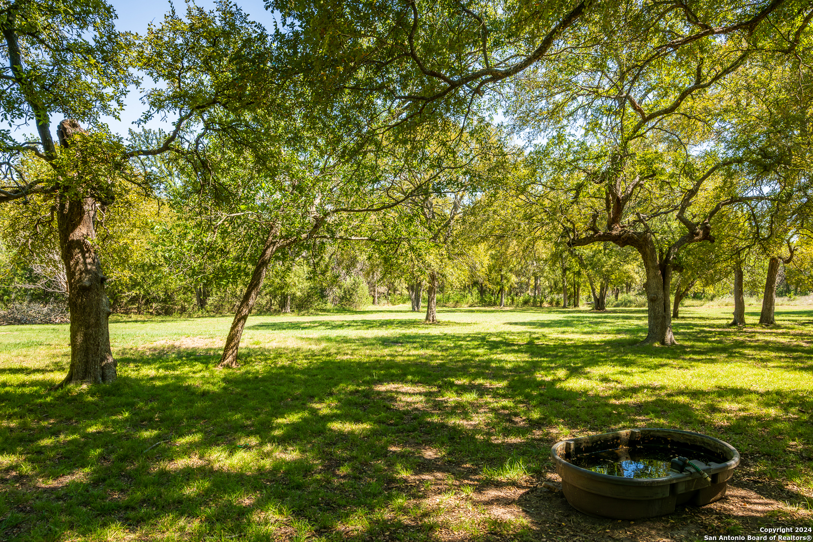 747 Cove Ranch Road Kempner, TX 76539 - Photo 30 of 50