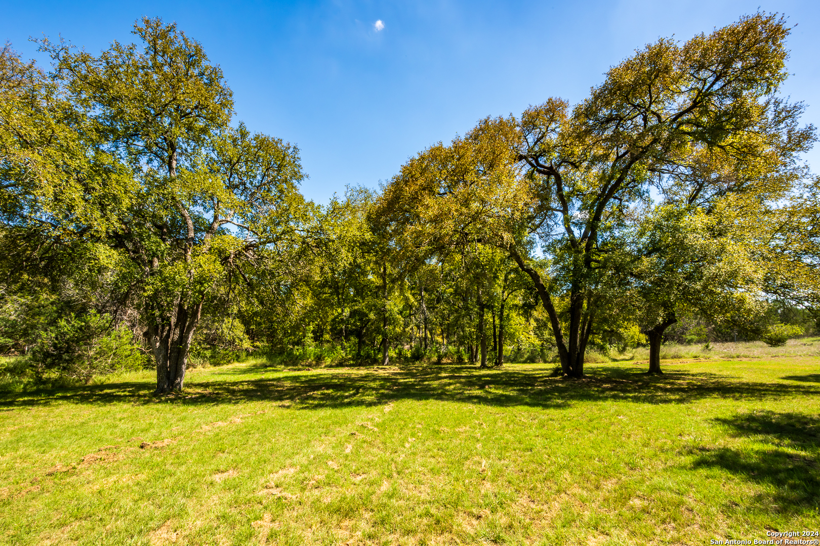 747 Cove Ranch Road Kempner, TX 76539 - Photo 48 of 50