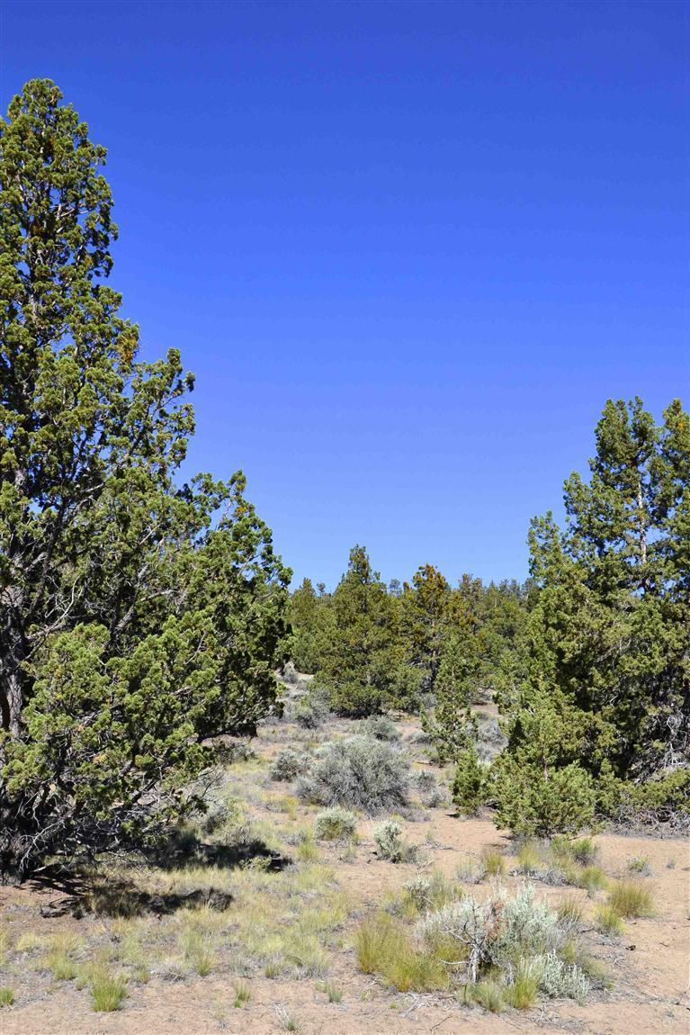 64670 Bill Martin Road Bend, OR 97703 - Photo 14 of 19 Gallery Image 14