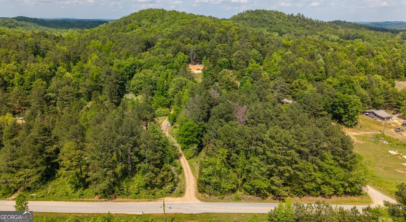 0 Culp Lake Road, Unit TRACT A Cedartown, GA 30125 - Photo 11 of 14