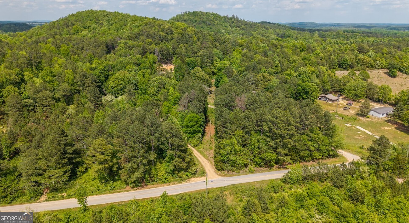 0 Culp Lake Road, Unit TRACT A Cedartown, GA 30125 - Photo 13 of 14