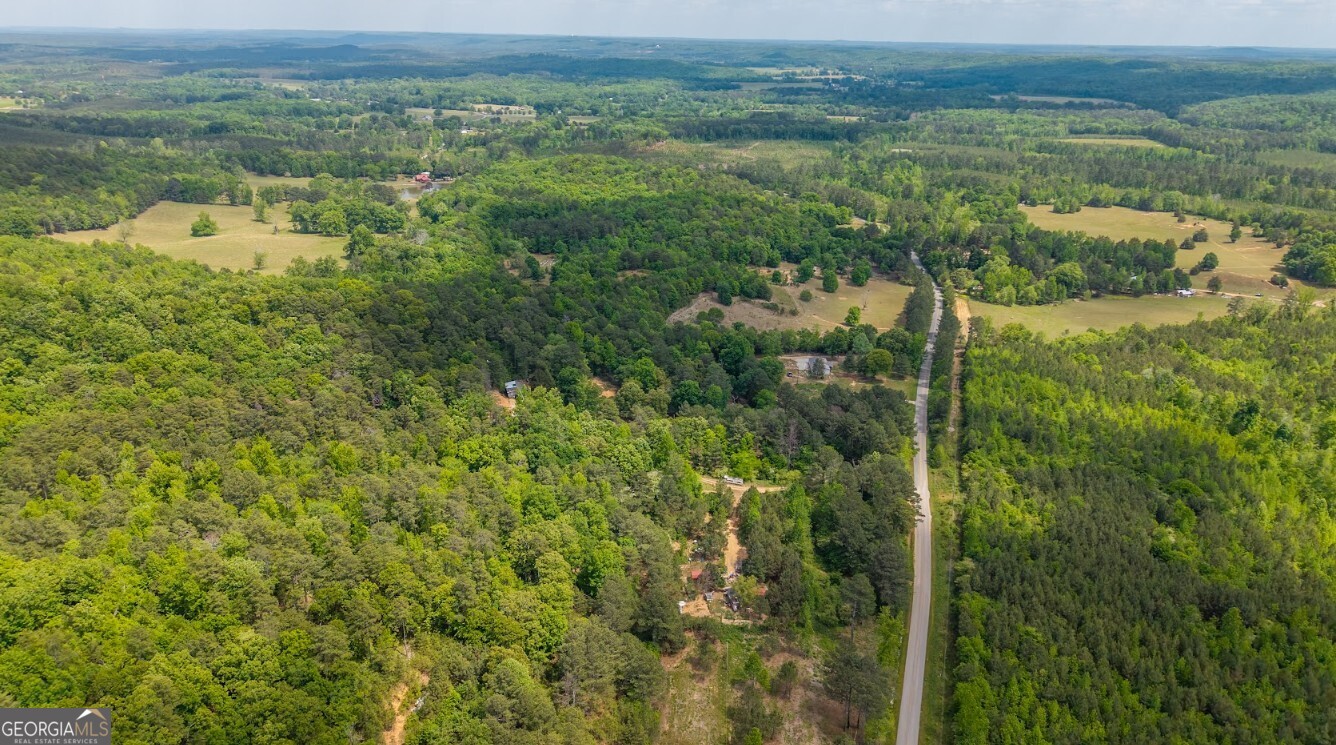 0 Culp Lake Road, Unit TRACT A Cedartown, GA 30125 - Photo 14 of 14