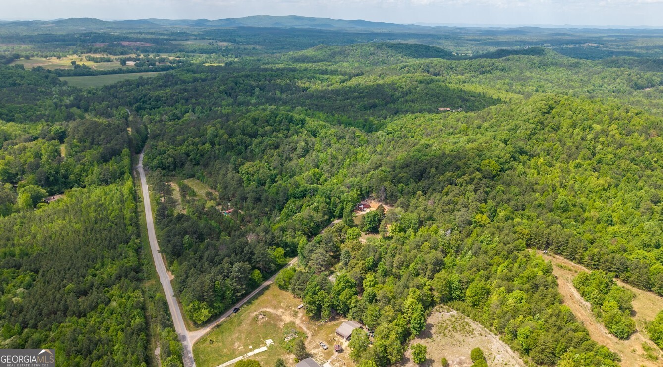 0 Culp Lake Road, Unit TRACT A Cedartown, GA 30125 - Photo 5 of 14