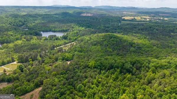 $100,000 | 0 Culp Lake Road, Unit TRACT A, Cedartown, GA 30125
