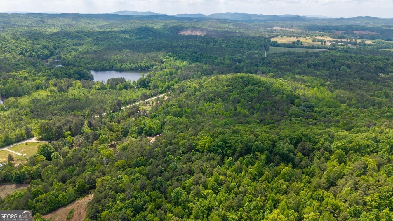 0 Culp Lake Road, Unit TRACT A Cedartown, GA 30125 - Photo 6 of 14