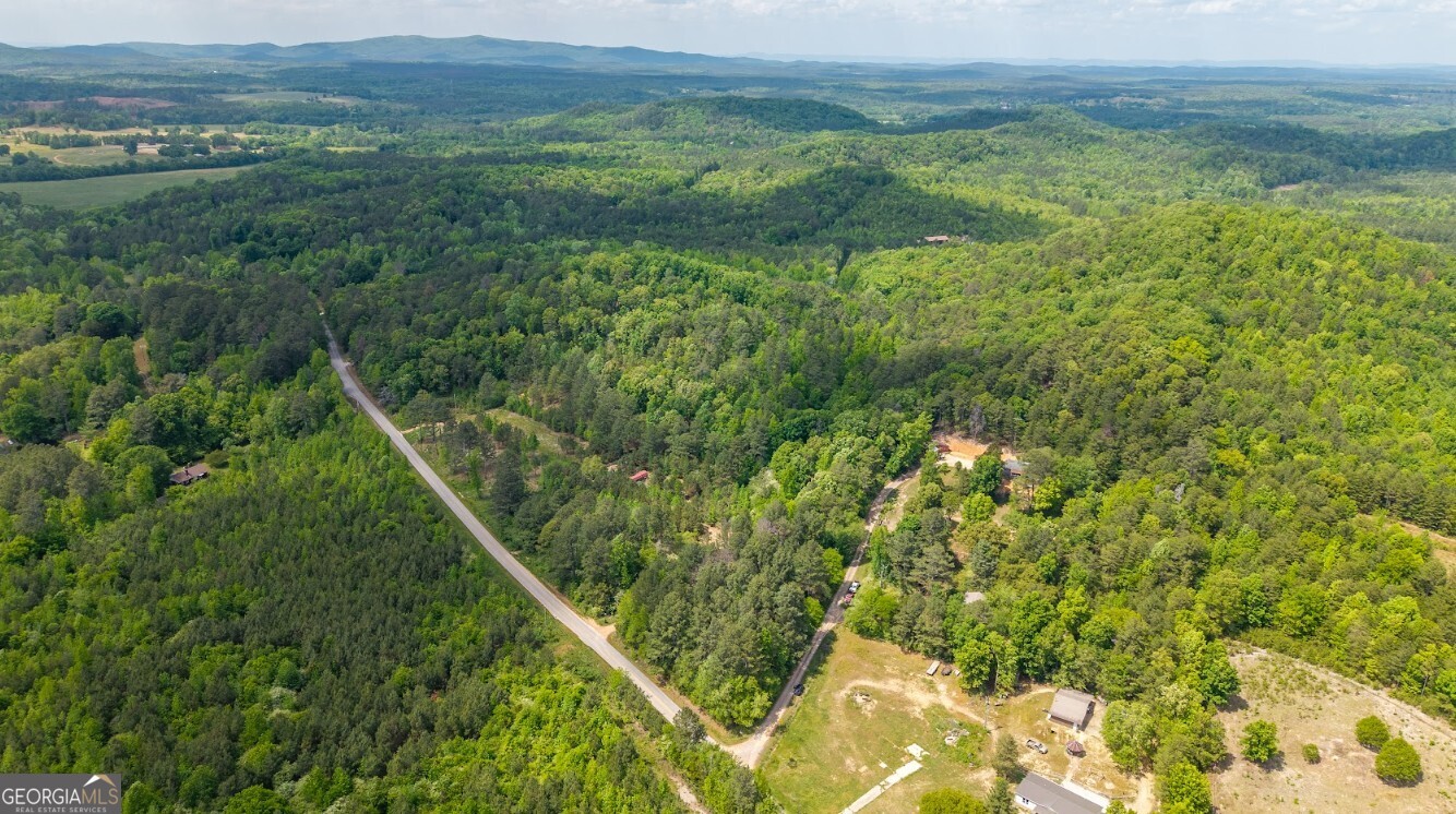 0 Culp Lake Road, Unit TRACT A Cedartown, GA 30125 - Photo 7 of 14