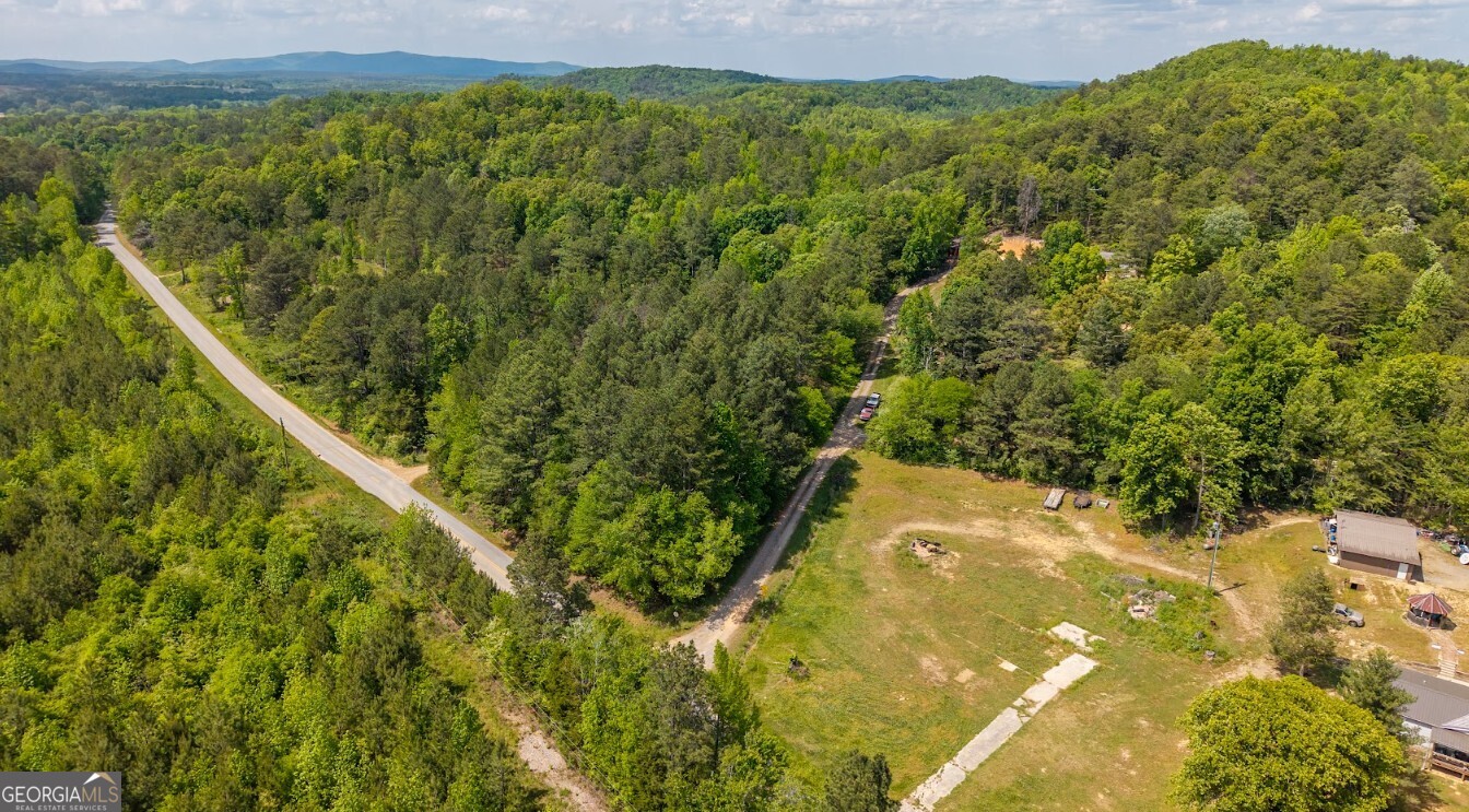 0 Culp Lake Road, Unit TRACT A Cedartown, GA 30125 - Photo 9 of 14