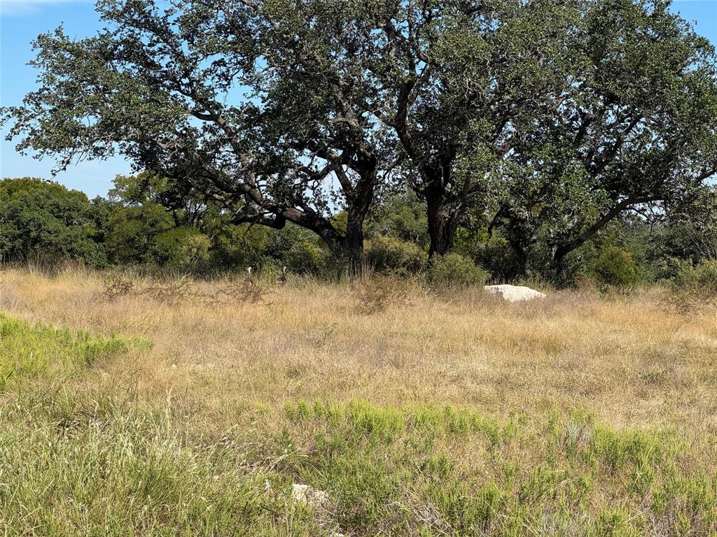 Lot 34 Buck Run San Saba, TX 76877 - Photo 12 of 14