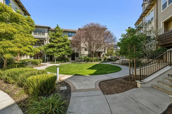 a view of a garden with plants and large trees