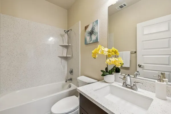 a view of a bench in the garden