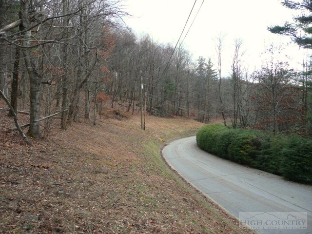 N/a Hickory Boone, NC 28607 - Photo 2 of 7 Gallery Image 2