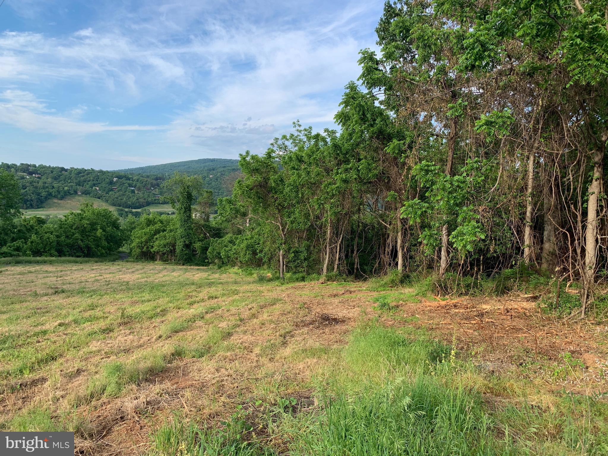 0 Wapping Farm Road, Unit LOT 7 Front Royal, VA 22630 - Photo 2 of 41 a big yard with green space