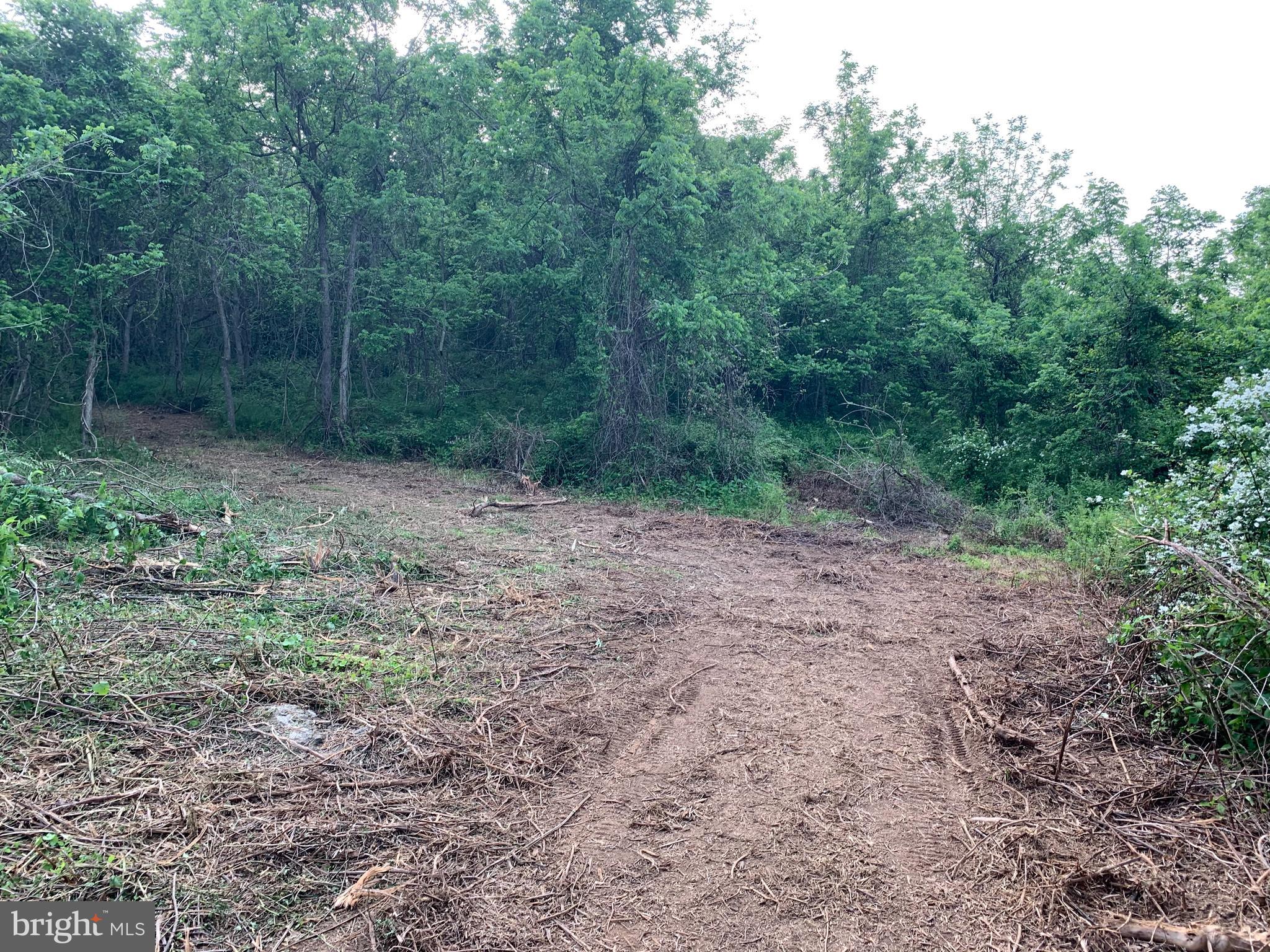 0 Wapping Farm Road, Unit LOT 7 Front Royal, VA 22630 - Photo 11 of 41 a view of a forest with trees in the background