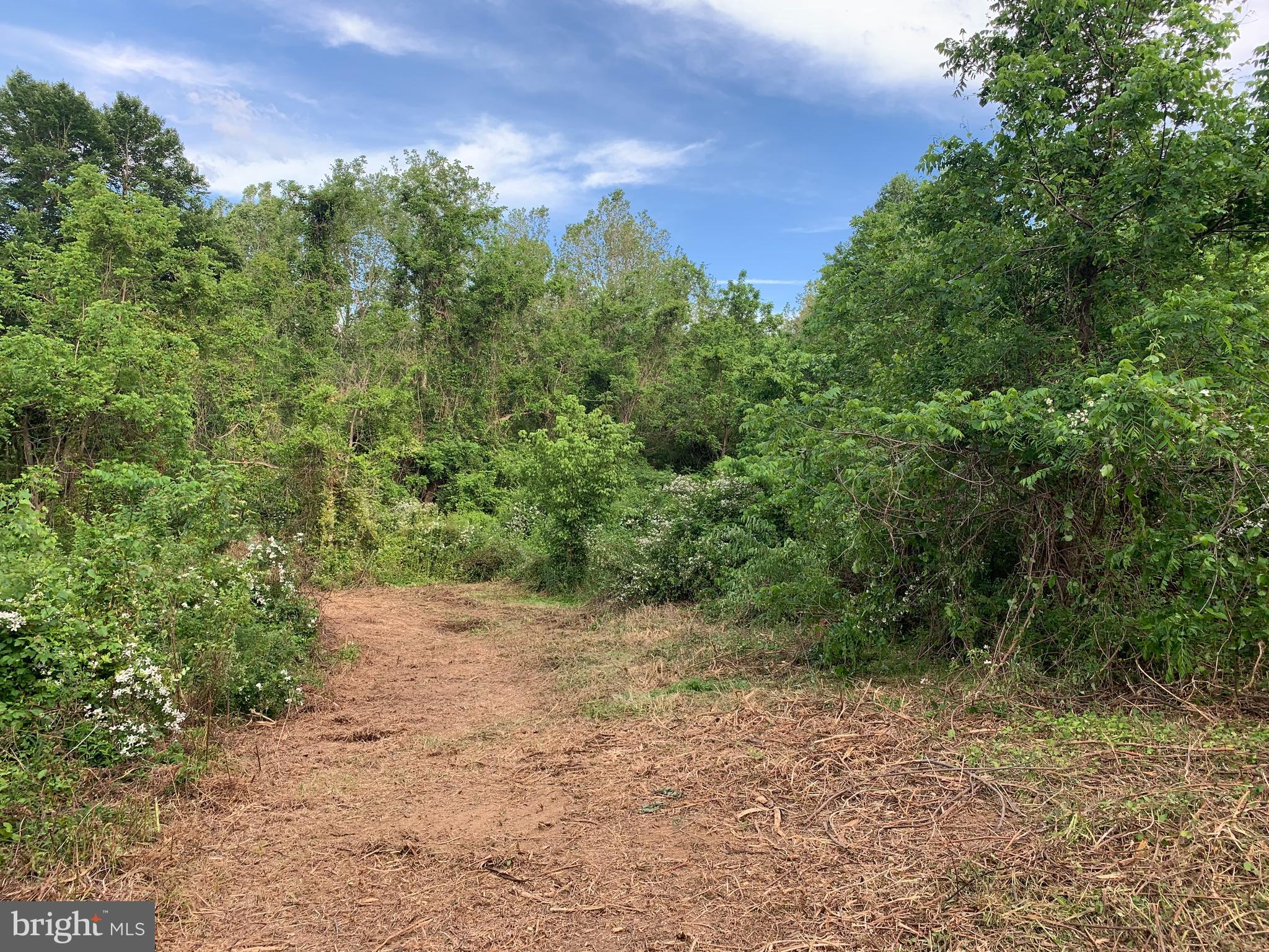 0 Wapping Farm Road, Unit LOT 7 Front Royal, VA 22630 - Photo 13 of 41 a view of a yard with a tree