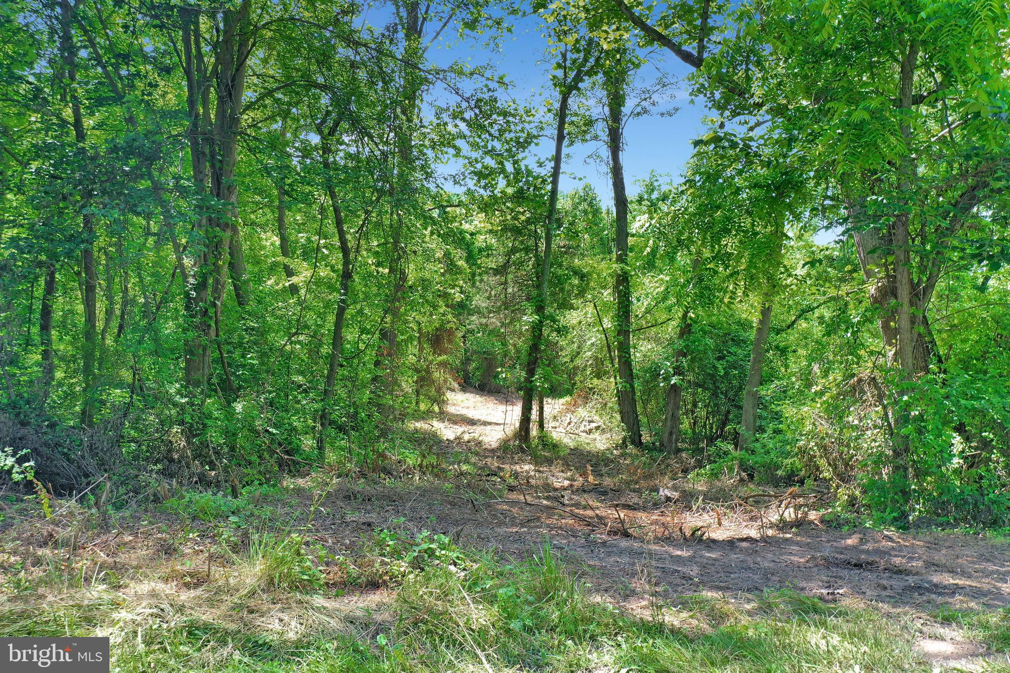 0 Wapping Farm Road, Unit LOT 7 Front Royal, VA 22630 - Photo 14 of 41 a backyard of a house with lots of green space