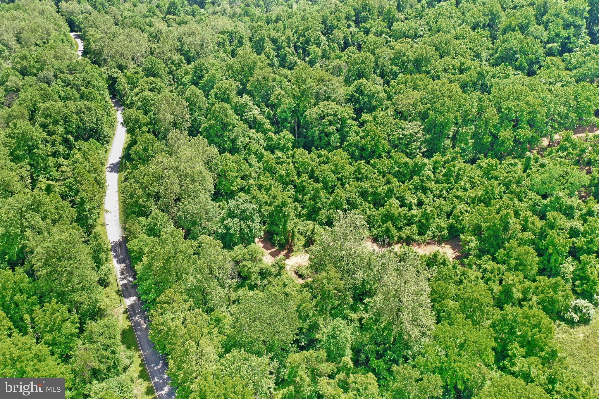 0 Wapping Farm Road, Unit LOT 7 Front Royal, VA 22630 - Photo 15 of 41 a view of a lush green forest