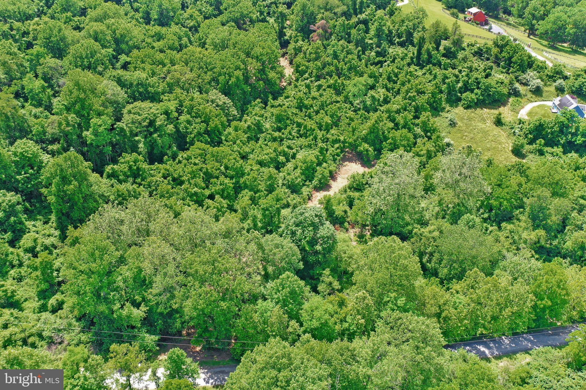 0 Wapping Farm Road, Unit LOT 7 Front Royal, VA 22630 - Photo 18 of 41 a view of a lush green forest with lots of trees