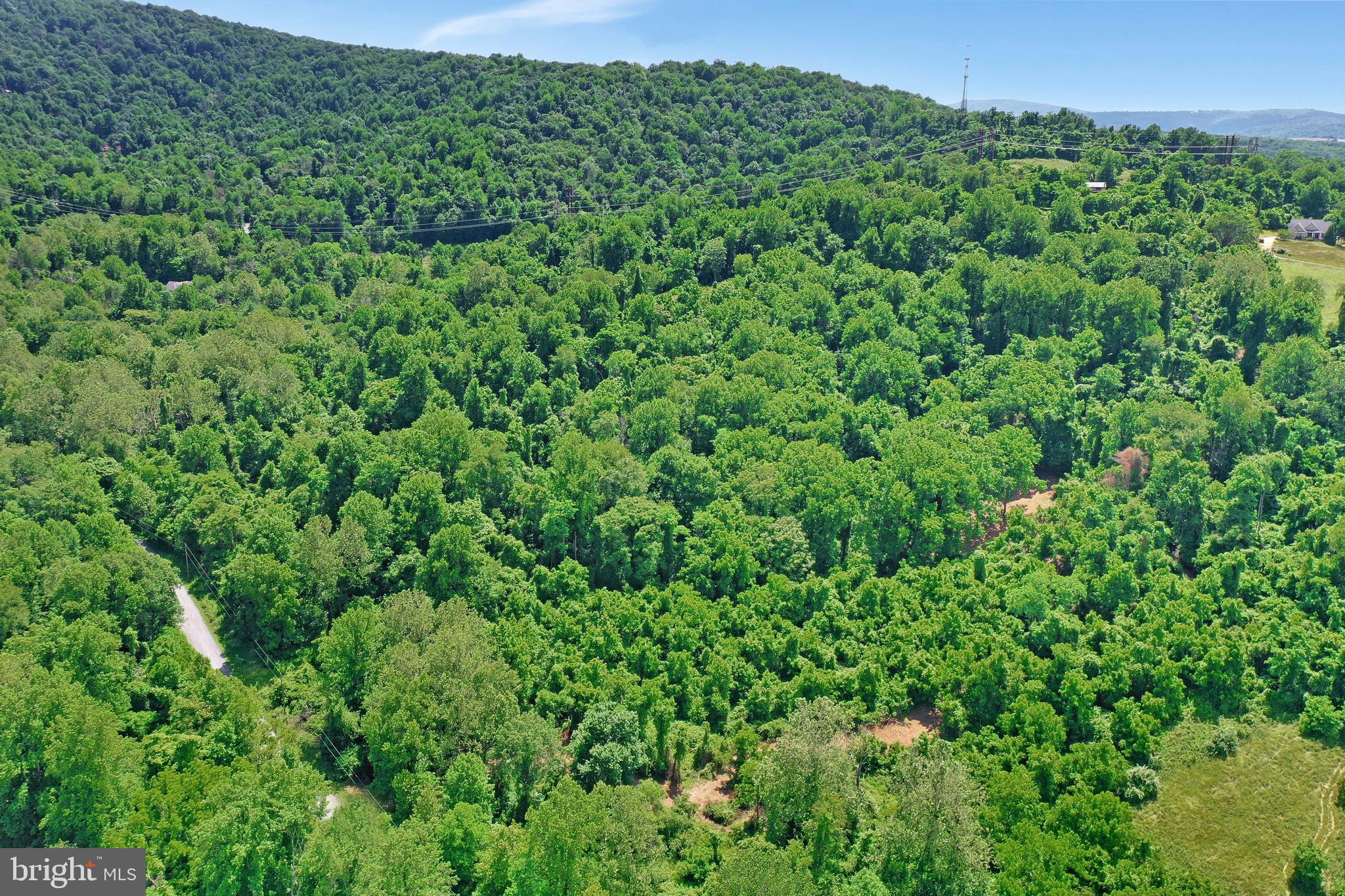 0 Wapping Farm Road, Unit LOT 7 Front Royal, VA 22630 - Photo 19 of 41 a view of a lush green forest with a building in the background