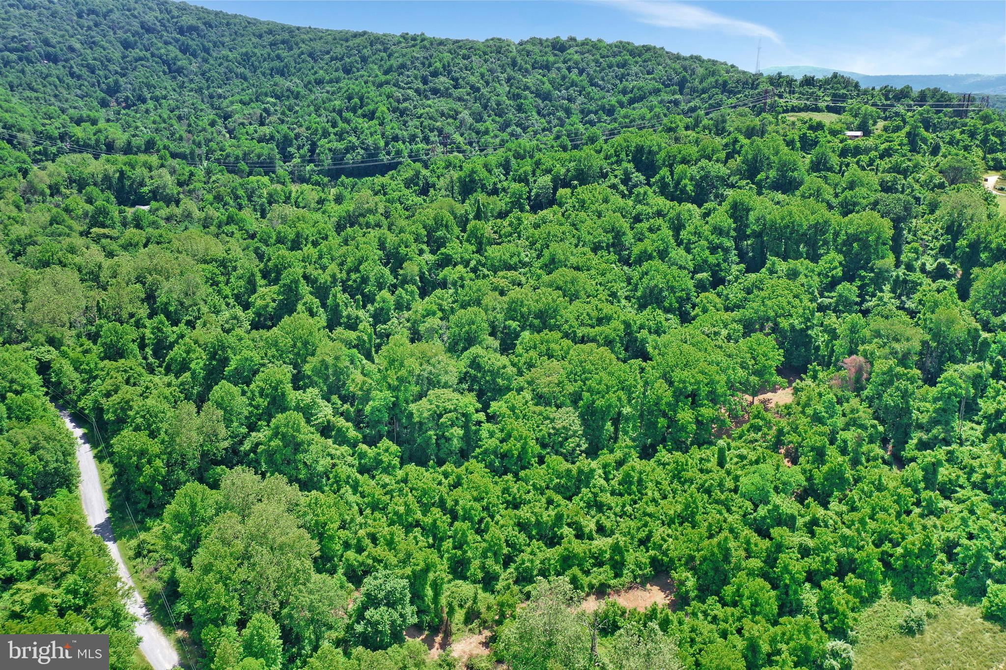 0 Wapping Farm Road, Unit LOT 7 Front Royal, VA 22630 - Photo 20 of 41 a view of a lush green forest