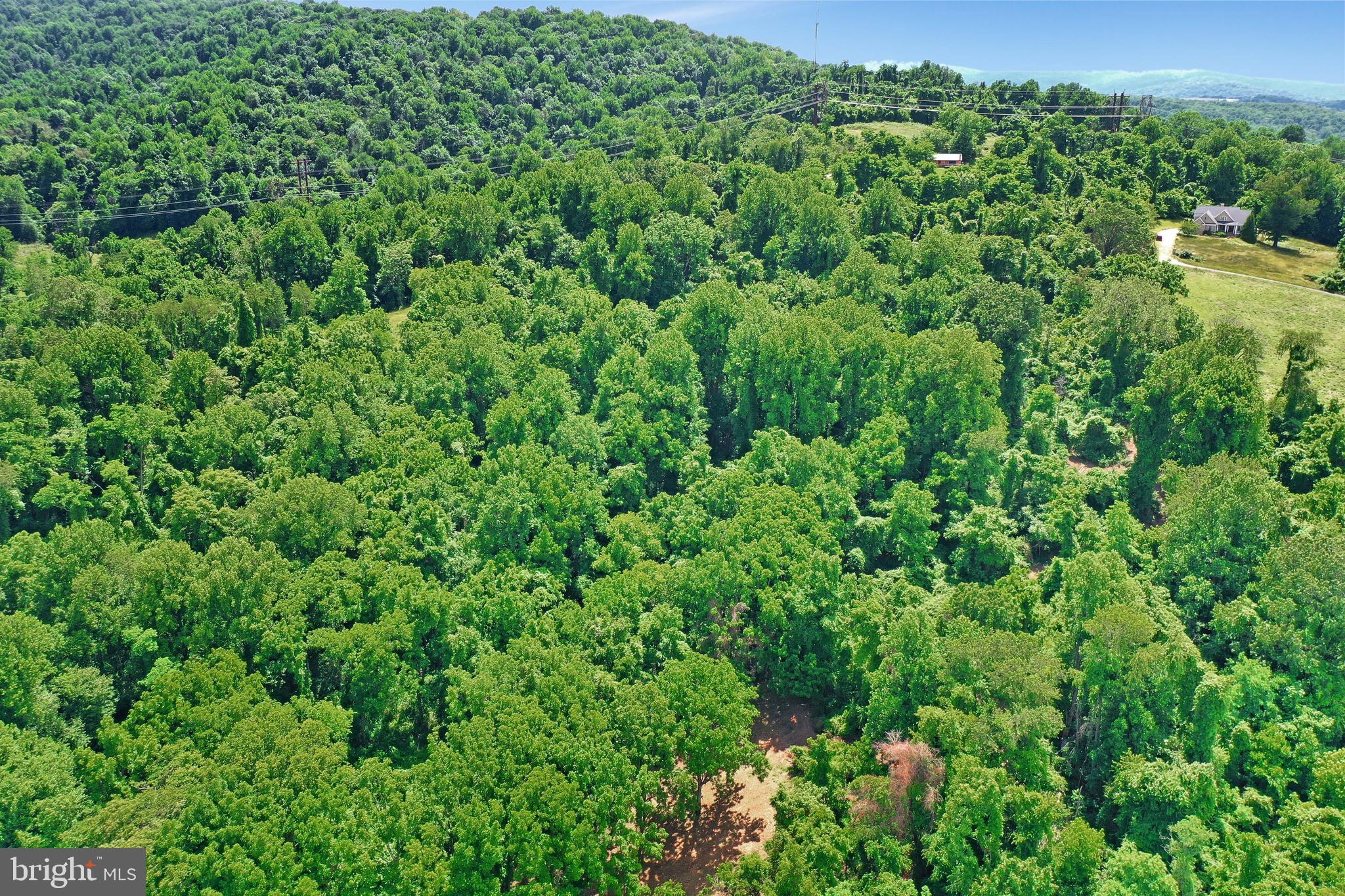 0 Wapping Farm Road, Unit LOT 7 Front Royal, VA 22630 - Photo 21 of 41 a view of a lush green forest with lawn chairs and plants