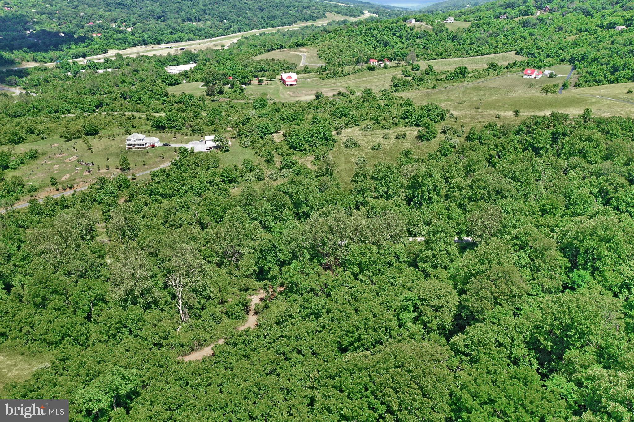 0 Wapping Farm Road, Unit LOT 7 Front Royal, VA 22630 - Photo 23 of 41 a view of a lush green forest with lots of trees