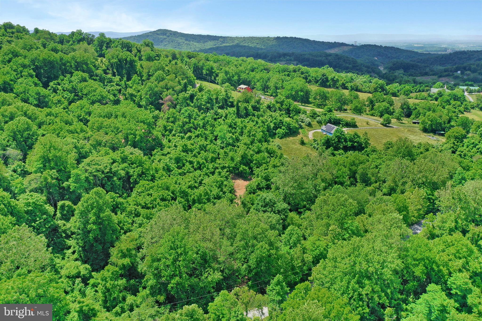 0 Wapping Farm Road, Unit LOT 7 Front Royal, VA 22630 - Photo 25 of 41 a view of a lush green forest with trees in the background