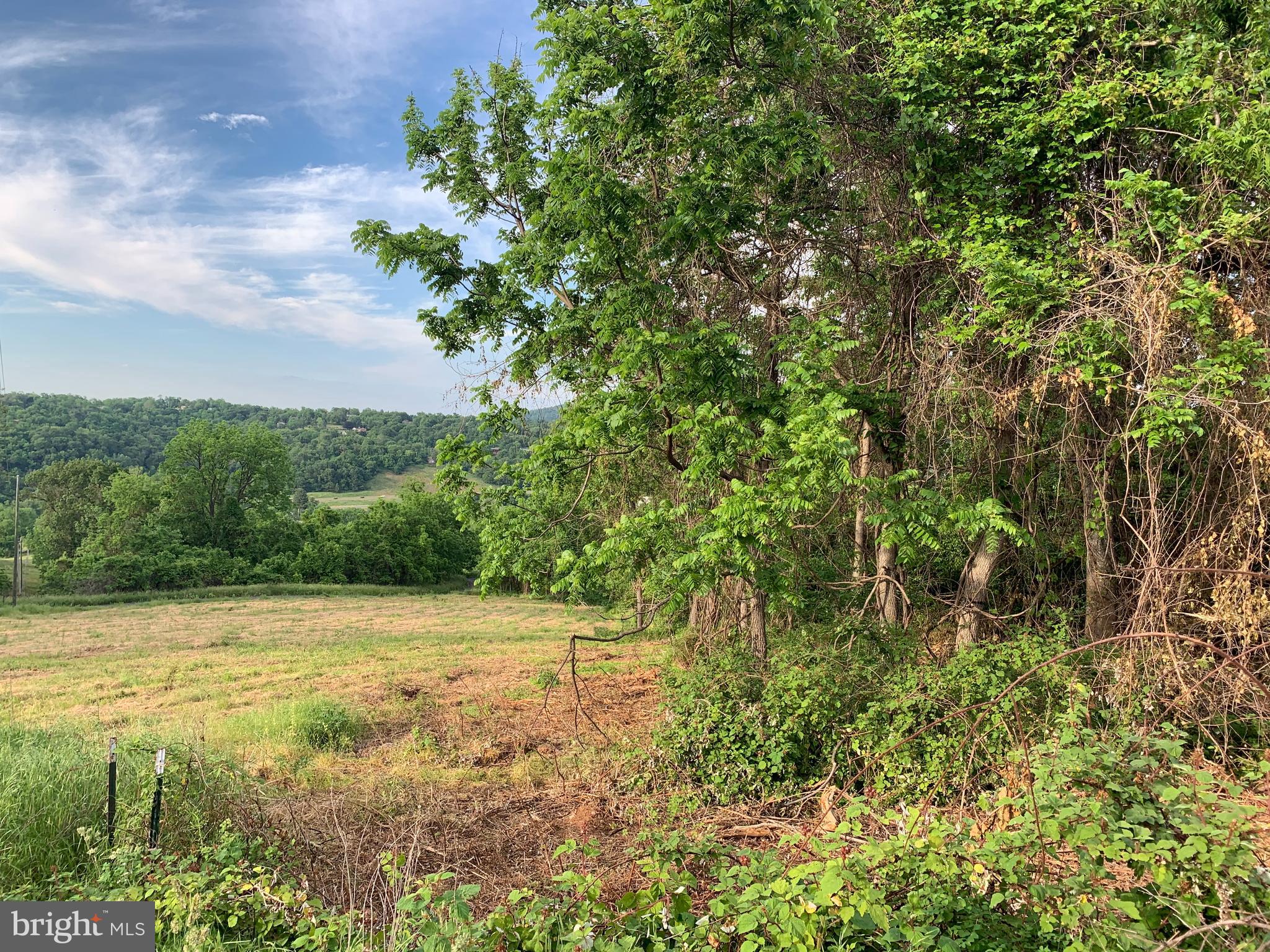 0 Wapping Farm Road, Unit LOT 7 Front Royal, VA 22630 - Photo 4 of 41 a view of a yard with plants and large trees