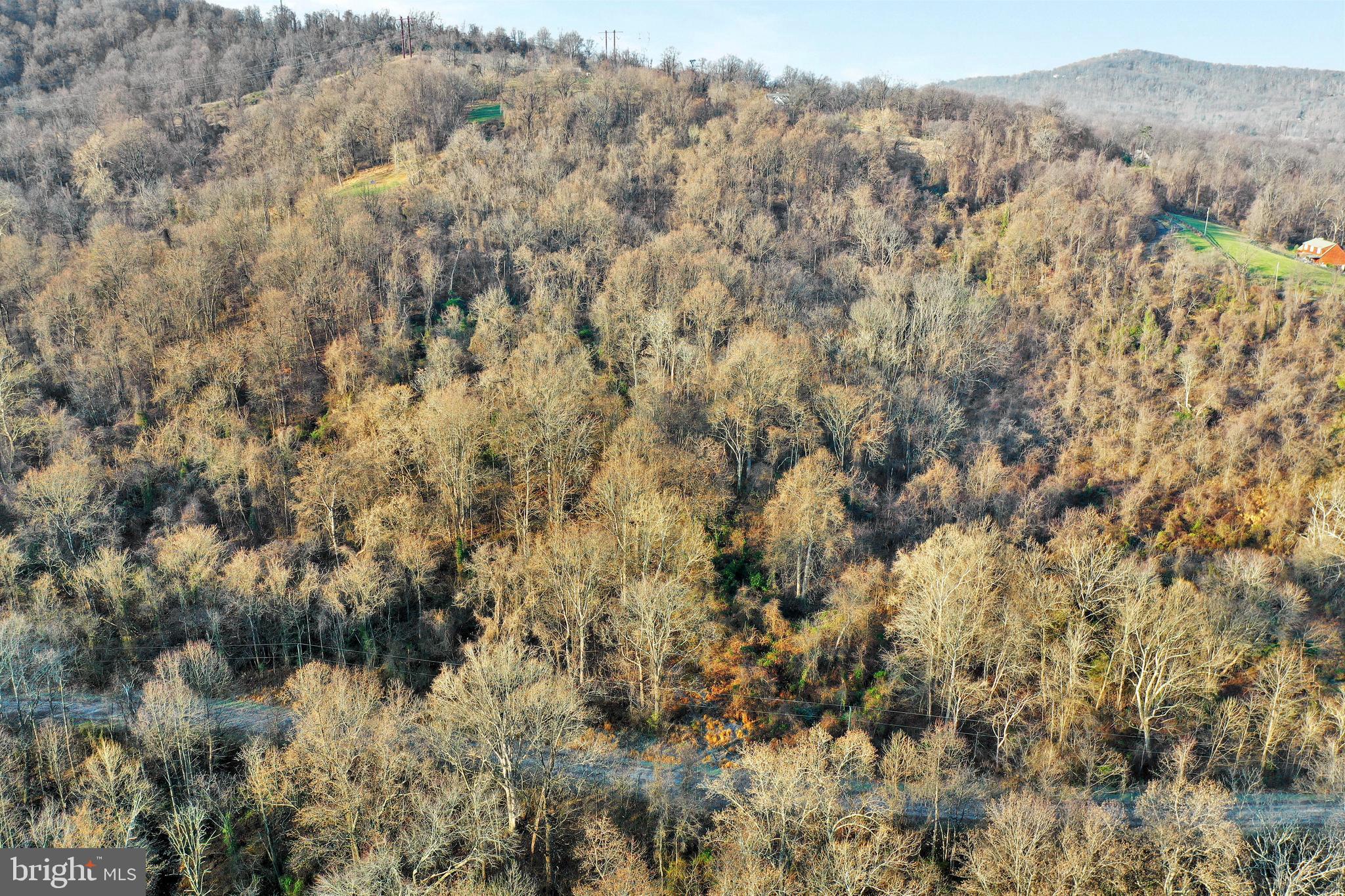 0 Wapping Farm Road, Unit LOT 7 Front Royal, VA 22630 - Photo 35 of 41 a view of a forest with a mountain