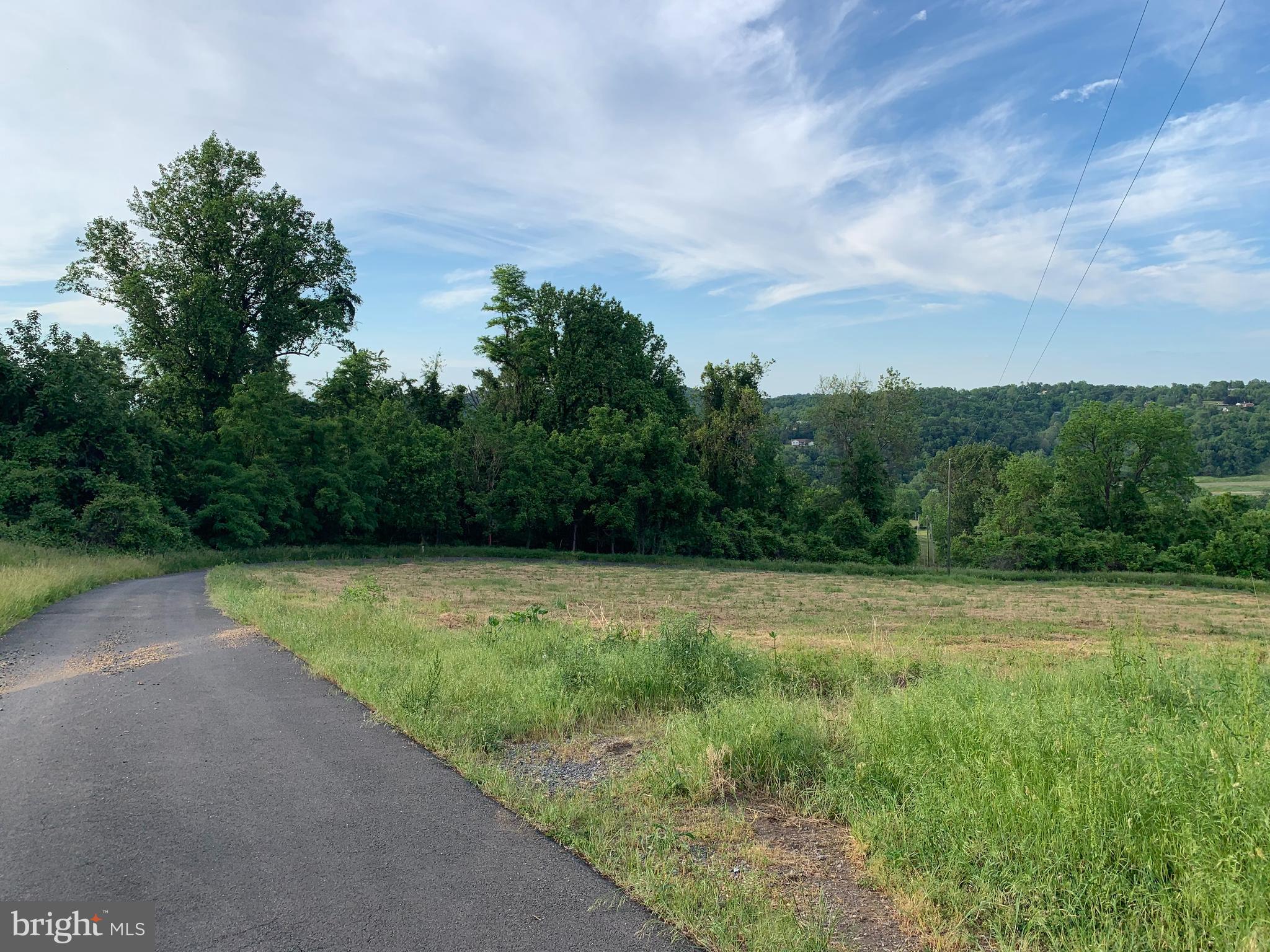 0 Wapping Farm Road, Unit LOT 7 Front Royal, VA 22630 - Photo 5 of 41 a view of a yard with an trees