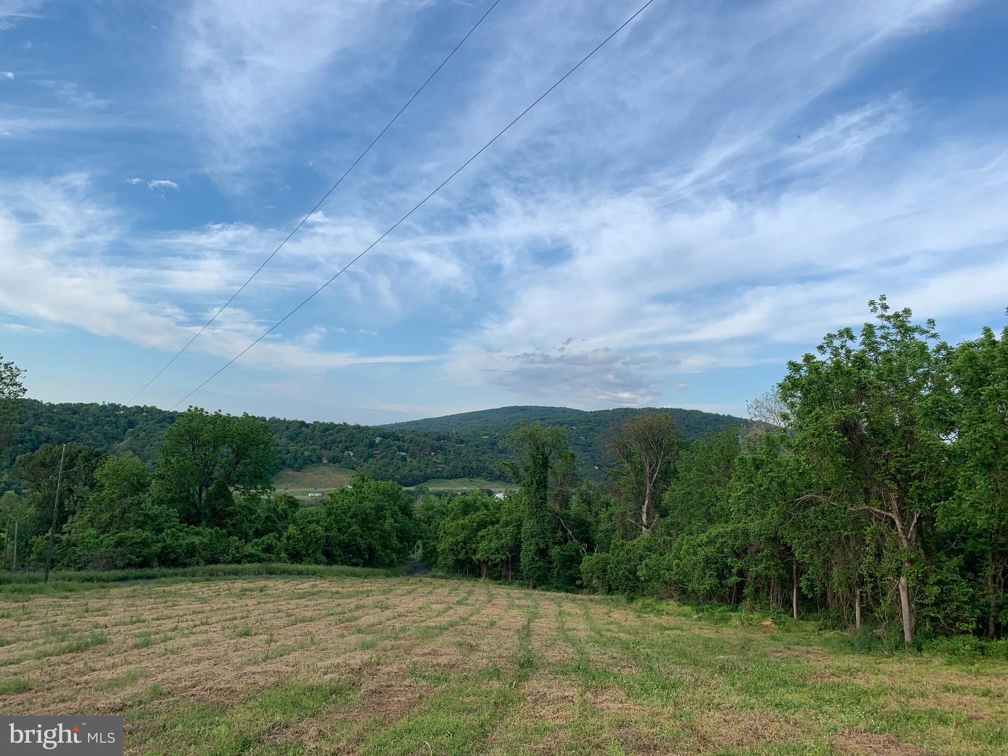 0 Wapping Farm Road, Unit LOT 7 Front Royal, VA 22630 - Photo 6 of 41 a view of a grassy field with trees in the background
