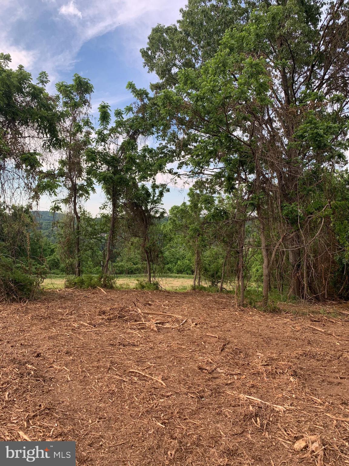 0 Wapping Farm Road, Unit LOT 7 Front Royal, VA 22630 - Photo 7 of 41 a backyard of a house with lots of green space