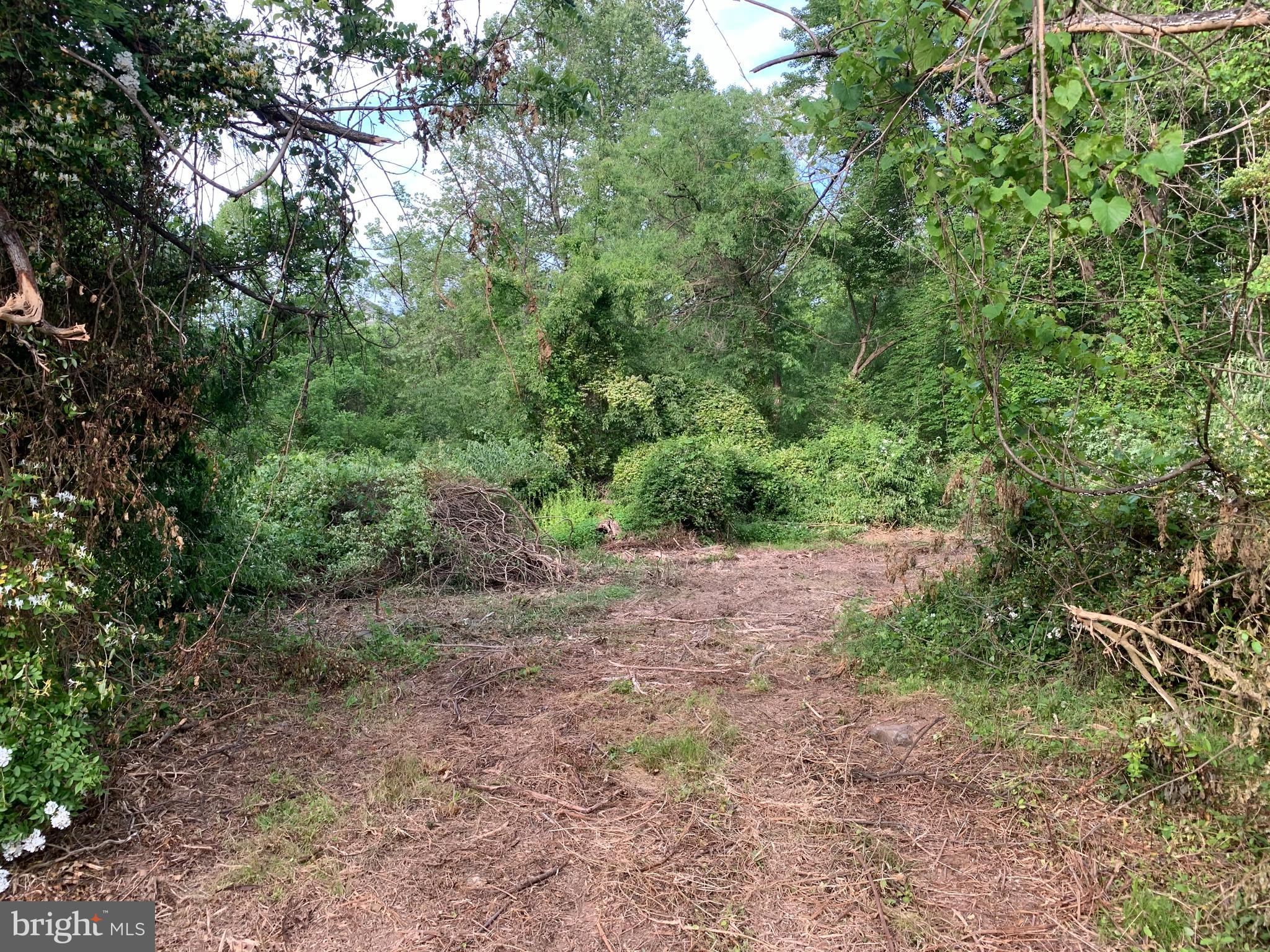 0 Wapping Farm Road, Unit LOT 7 Front Royal, VA 22630 - Photo 9 of 41 a view of a yard with large trees